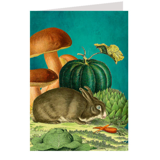 Bunny and Mushrooms in Garden Card ~ England